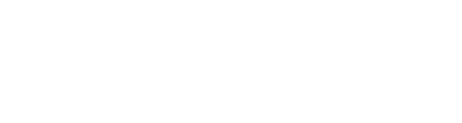LaCava Technology Solutions